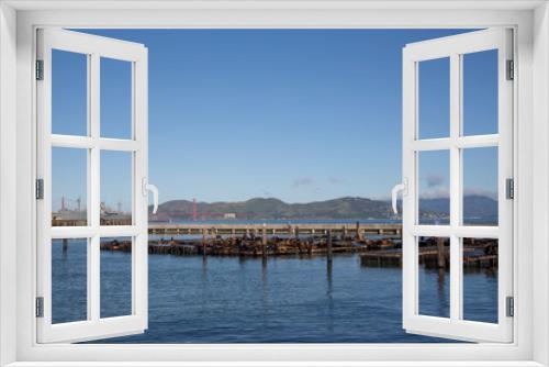 Fototapeta Naklejka Na Ścianę Okno 3D - Sea Lions at Pier 39 in San Francisco, California