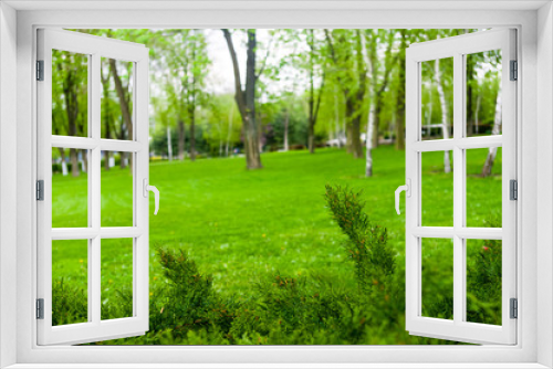 Fototapeta Naklejka Na Ścianę Okno 3D - spring city Park - blooming flower and trees, bright green grass