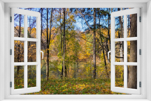 Fototapeta Naklejka Na Ścianę Okno 3D - Scenic view to the autumn park, golden autumn
