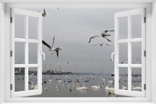 Fototapeta Naklejka Na Ścianę Okno 3D - Bird's