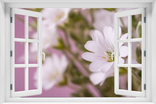 Fototapeta Naklejka Na Ścianę Okno 3D - White flowers bouquet on pink background