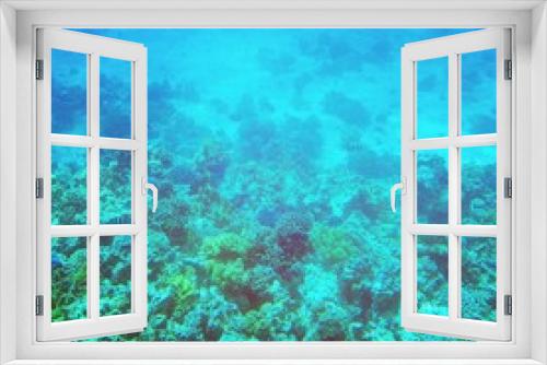 Fototapeta Naklejka Na Ścianę Okno 3D - coral reef in sea