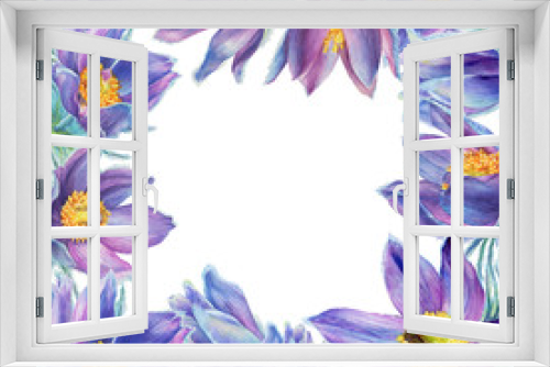 Fototapeta Naklejka Na Ścianę Okno 3D - Frame of wild flower purple Pulsatilla patens (also known as Eastern pasqueflower, prairie crocus, cutleaf anemone). Hand drawn watercolor painting illustration isolated on white background.