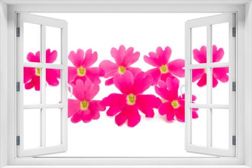 Fototapeta Naklejka Na Ścianę Okno 3D - pink verbena isolated