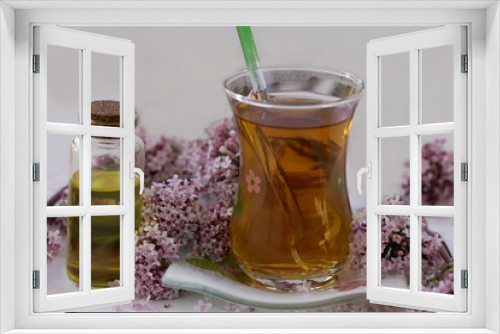 Fototapeta Naklejka Na Ścianę Okno 3D - cat grass and tea
