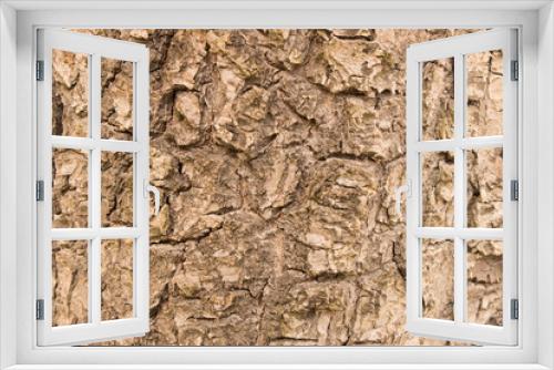 Fototapeta Naklejka Na Ścianę Okno 3D - The background texture of the tree bark . Close up.