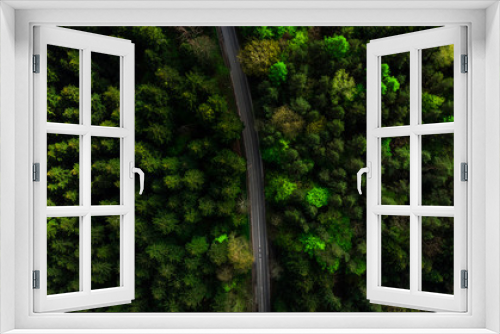 Fototapeta Naklejka Na Ścianę Okno 3D - Straight road on green pine forest, aerial drone top down view