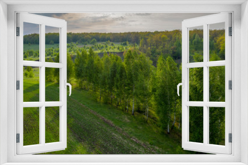 Fototapeta Naklejka Na Ścianę Okno 3D - Sunset over the forest and ravine, in the foreground birch trees shot close-up in the background light