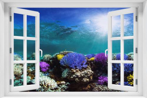 Fototapeta Naklejka Na Ścianę Okno 3D - Glowing coral reef