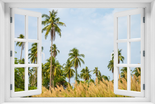 Fototapeta Naklejka Na Ścianę Okno 3D - Beautiful coconut palm tree forest with clouds sky background in sunshine day. Travel tropical summer beach holiday vacation or save the earth, nature environmental concept.