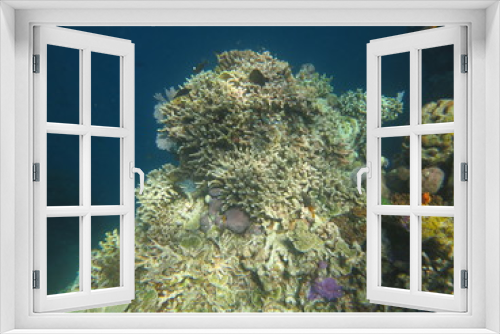 Fototapeta Naklejka Na Ścianę Okno 3D - Ecosistema lleno de vida