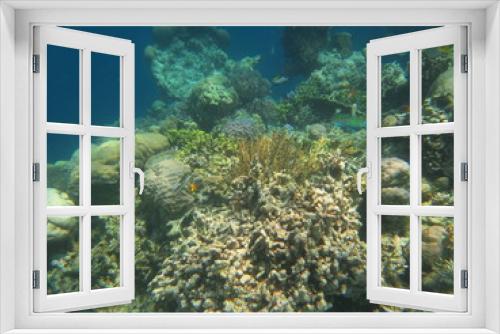 Fototapeta Naklejka Na Ścianę Okno 3D - Ecosistema lleno de vida