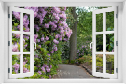 Fototapeta Naklejka Na Ścianę Okno 3D - path in the garden with purple flowers
