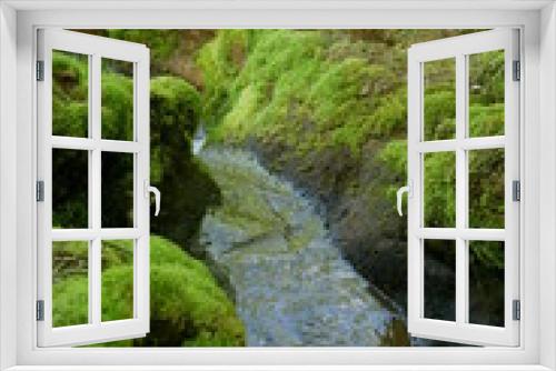 Fototapeta Naklejka Na Ścianę Okno 3D - Waldfrieden