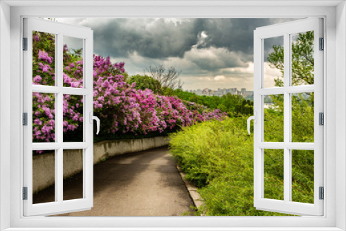 Fototapeta Naklejka Na Ścianę Okno 3D - rainy cloudy day in lilac garden