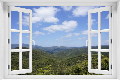 Fototapeta Naklejka Na Ścianę Okno 3D - 鹿児島県,奄美大島,山間