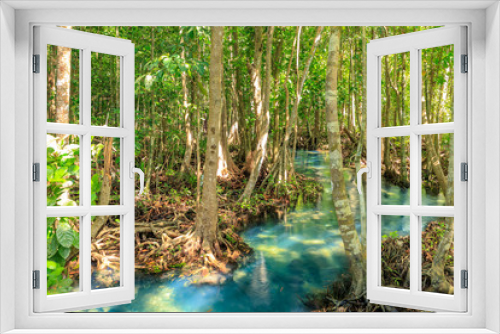 Fototapeta Naklejka Na Ścianę Okno 3D - Mangrove and crystal clear water stream canal at Tha Pom Klong Song Nam mangrove wetland, Krabi, Thailand