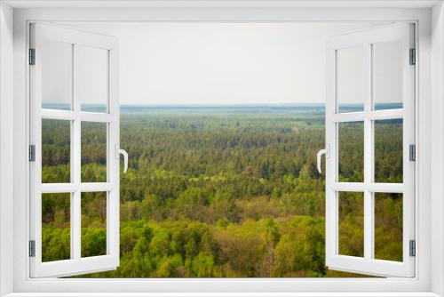 Fototapeta Naklejka Na Ścianę Okno 3D - Forest on a sunny summer day top view.