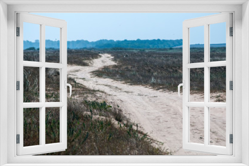 Fototapeta Naklejka Na Ścianę Okno 3D - Countryside sandy road along sea beach dunes in summer day
