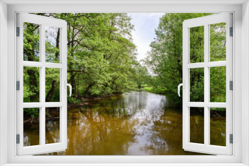 Fototapeta Naklejka Na Ścianę Okno 3D - Rzeka Rospuda pośród drzew, spływ kajakowy
