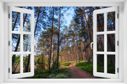 Fototapeta Naklejka Na Ścianę Okno 3D - Landscape with the image of forest