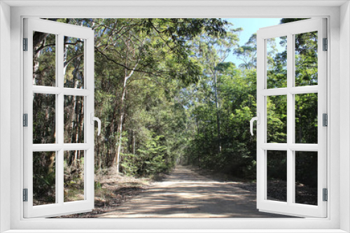 Fototapeta Naklejka Na Ścianę Okno 3D - Dirt Road into Boarding House Dam Watagans National Park Australia