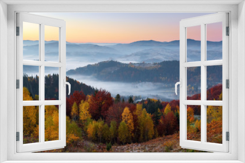Fototapeta Naklejka Na Ścianę Okno 3D - Majestic autumn rural scenery. Landscape with beautiful mountains, fields and forests covered with morning fog. There are trees on the lawn full of orange leaves. Picturesque resort Carpathian, Europa