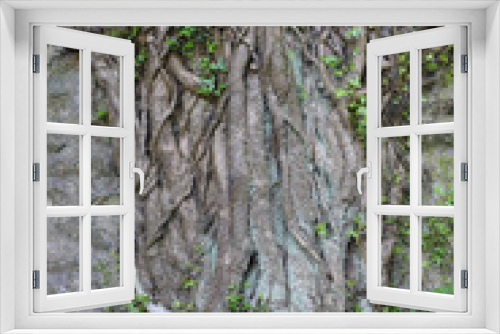 Fototapeta Naklejka Na Ścianę Okno 3D - Ivy growing within a ruin