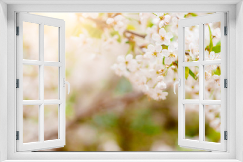 Fototapeta Naklejka Na Ścianę Okno 3D - Photo of white lilac on blurred background