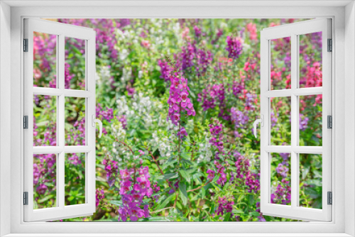 Fototapeta Naklejka Na Ścianę Okno 3D - Shrubs, purple flowers, tropical trees