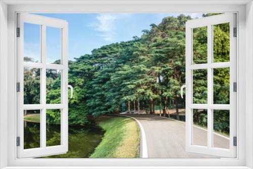 Fototapeta Naklejka Na Ścianę Okno 3D - Beautiful view of asphalt road between gorgeous trees and lake, in sunny day. With copy space.
