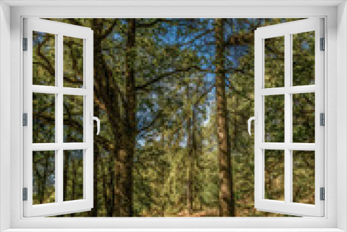 Fototapeta Naklejka Na Ścianę Okno 3D - Yew Tree Tarn, Lake District National Park, England, UK