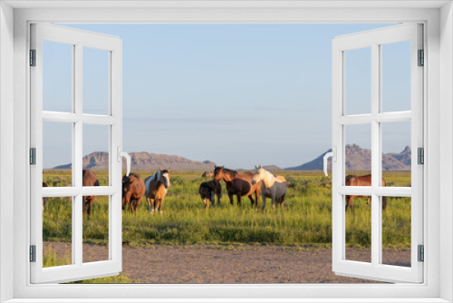 Fototapeta Naklejka Na Ścianę Okno 3D - Wild Horses in Spring in the Utah Desert