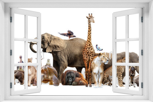 Fototapeta Naklejka Na Ścianę Okno 3D - Wild Zoo Animals on White Web Banner