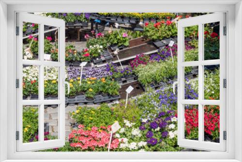 Fototapeta Naklejka Na Ścianę Okno 3D - Blumen und Pflanzen auf dem Wochenmarkt
