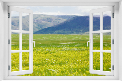 Fototapeta Naklejka Na Ścianę Okno 3D - Wide field with yellow wildflowers on a background of blue mountains, foothills. The Crimean mountains and fields.