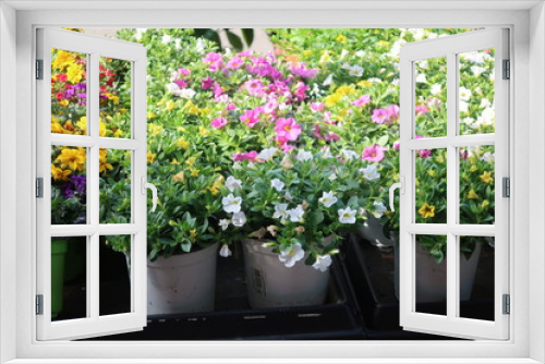 Fototapeta Naklejka Na Ścianę Okno 3D - Bunte Blumen