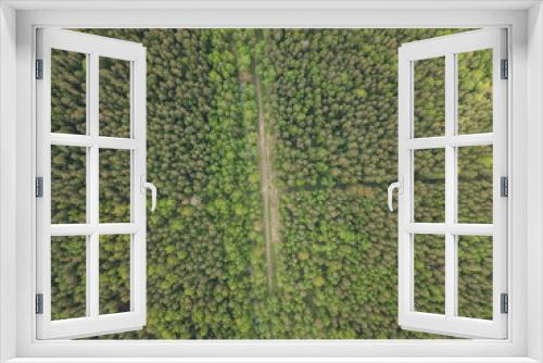 Fototapeta Naklejka Na Ścianę Okno 3D - Rzhevsky Forest Park
