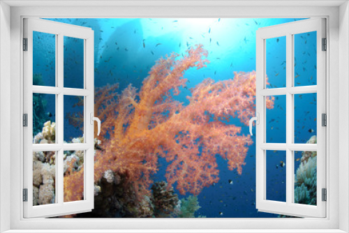 Fototapeta Naklejka Na Ścianę Okno 3D - Vibrant and colourful tropical reef