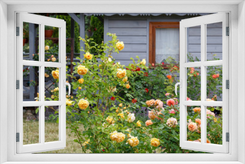 Fototapeta Naklejka Na Ścianę Okno 3D - Roses and herb garden outside a country house