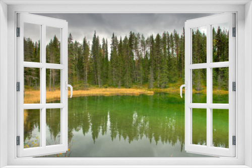 Fototapeta Naklejka Na Ścianę Okno 3D - Grünes Wasser