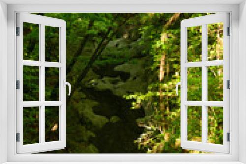 Fototapeta Naklejka Na Ścianę Okno 3D -  Swamp