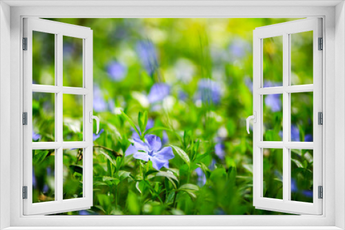 Fototapeta Naklejka Na Ścianę Okno 3D - Forest Flowers