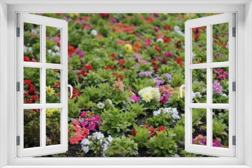 Fototapeta Naklejka Na Ścianę Okno 3D - Garden