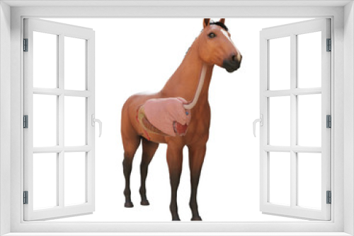 Fototapeta Naklejka Na Ścianę Okno 3D - 3d rendered medically accurate illustration of the horse anatomy - internal organs