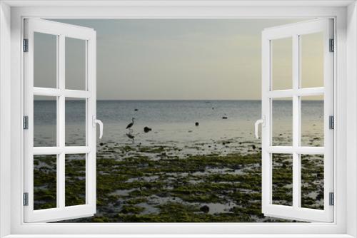 Fototapeta Naklejka Na Ścianę Okno 3D - 夕暮れ前の遠浅の海岸と一羽の鳥