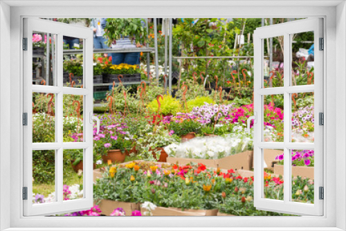 Fototapeta Naklejka Na Ścianę Okno 3D - Kiermasz roślin ogrodowych. Kwiaty ogrodowe
