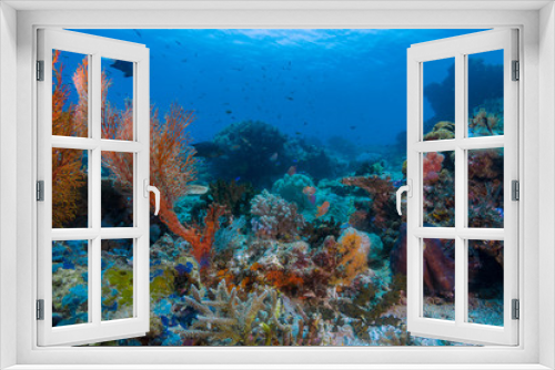Fototapeta Naklejka Na Ścianę Okno 3D - A beautiful reef scape with corals in blue water