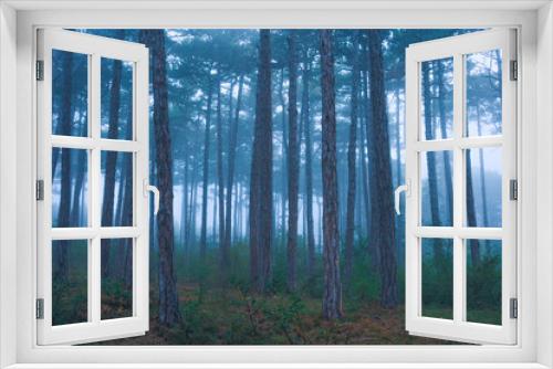 Fototapeta Naklejka Na Ścianę Okno 3D - misty forest in the morning 