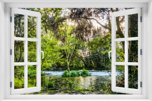 Fototapeta Naklejka Na Ścianę Okno 3D - Riverbank forest
